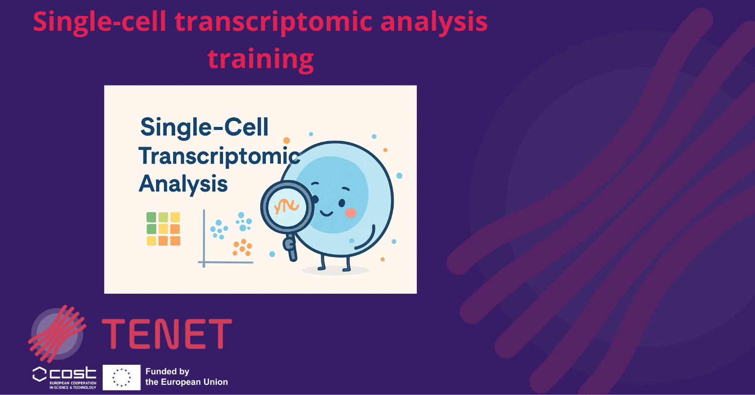 Single-cell transcriptomic analysis training